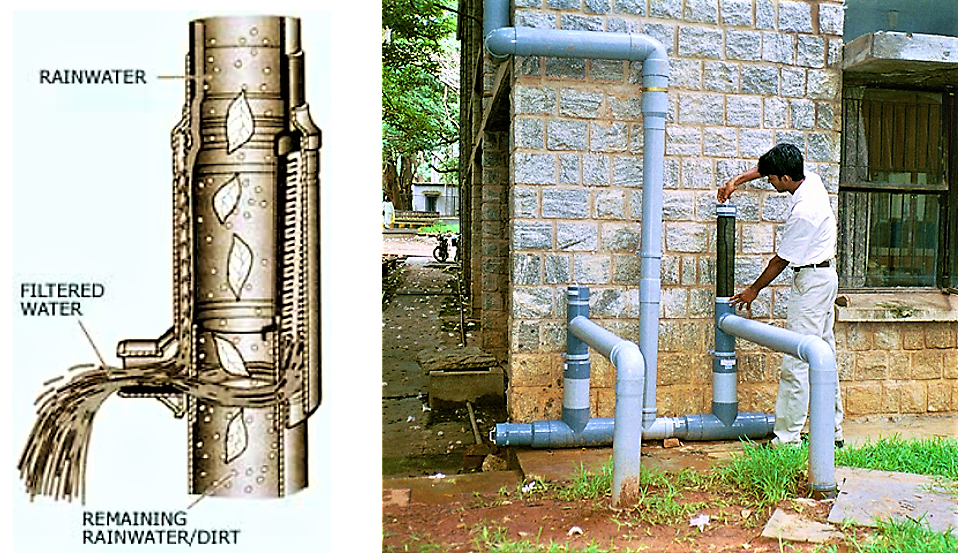 DIY Rainwater Harvesting: Simple Solutions for Sustainable Living