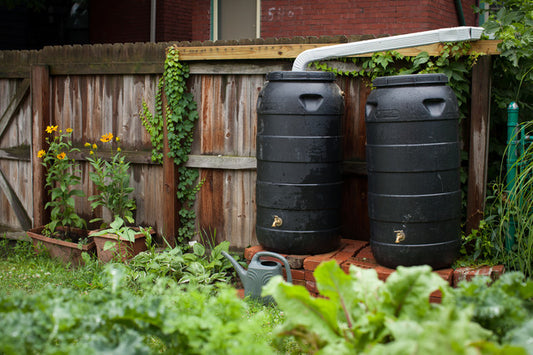 10 Creative Ways to Use Rainwater in Your Garden